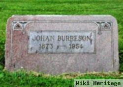 Johan Burreson