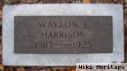 Waylon Harrison