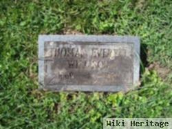 Thomas Everett Willison