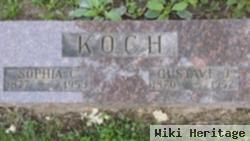 Sophia C Koch