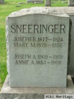 Mary M Sneeringer