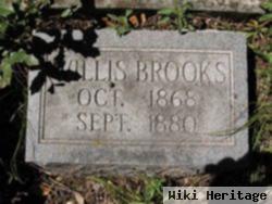 Willis Jordan Brooks