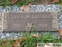 Eileen M Lebaugh