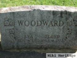 Robert Floyd Woodward