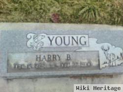 Harry B Young