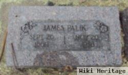 James Palik