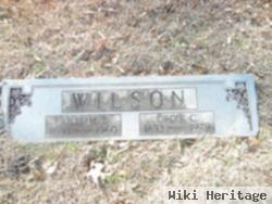 William Thomas "tom" Wilson