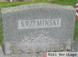 Matthew J Krzeminski