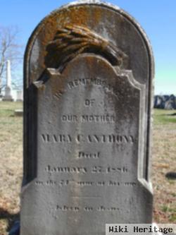 Mary C Anthony