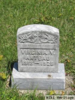 Virginia Violet Anteau