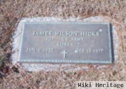 James Wilson Hicks