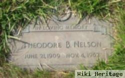 Theodore B Nelson