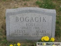 Rose Bogacik