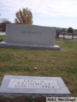 Carl W. Brummett