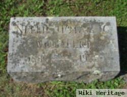 Nellie Hotaling Wohlfert