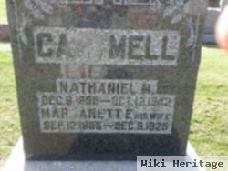 Nathaniel M Cartmell