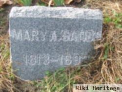 Mary Ann Sands