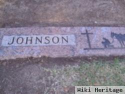Joe Henry Johnson