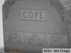 Llewellyn R. Cope