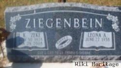 H K Ziegenbein