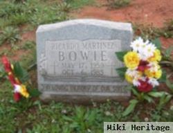 Ricardo Martinez Bowie