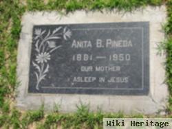 Anita B Pineda