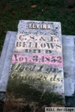 Elvina Bellows