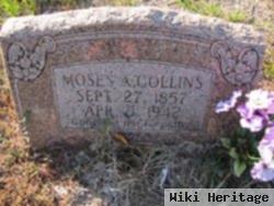 Moses Asburn Collins, Sr