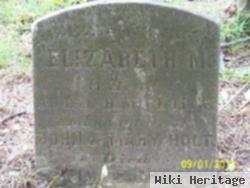 Elizabeth M Holt