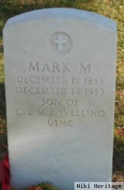 Mark M Avellino