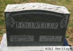 Ann E Follweiler