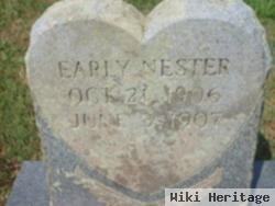 Early Nester