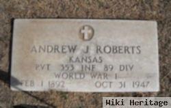 Andrew J Roberts