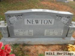 Albert B Newton