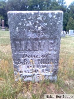 Mary Elizabeth Norris