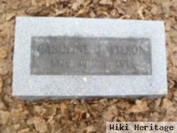 Caroline J. Wilson