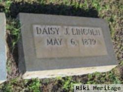 Daisy Jane Lincoln