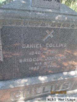 Daniel Collins