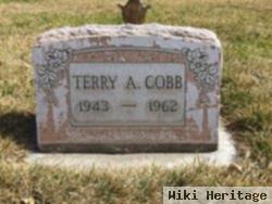 Terry A. Cobb