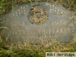 David L. Whiteaker