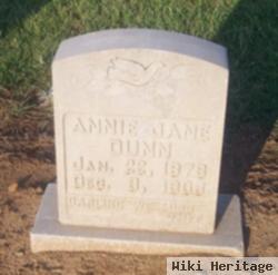 Annie Jane Petross Dunn