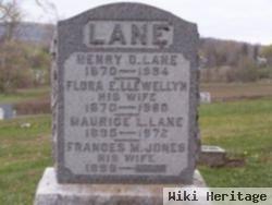 Henry Dunham Lane