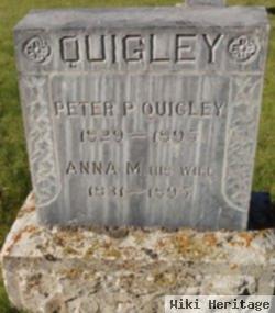 Peter P Quigley