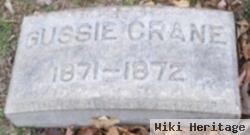 Gussie Crane