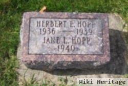 Jane L. Hopp