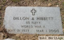 Dillon A. Hibbett