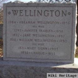 Mary Dunn Wellington