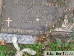 Mary Elizabeth Wilson