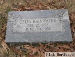 Celia Ann Turner Rainwater