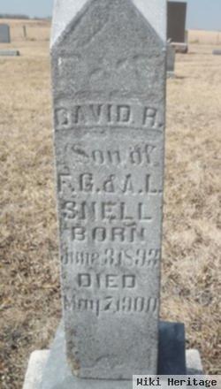 David R. Snell